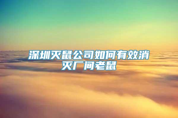 深圳灭鼠公司如何有效消灭厂间老鼠