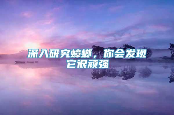 深入研究蟑螂，你会发现它很顽强