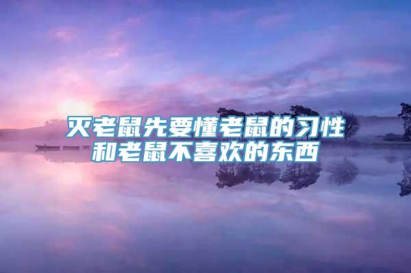 灭老鼠先要懂老鼠的习性和老鼠不喜欢的东西