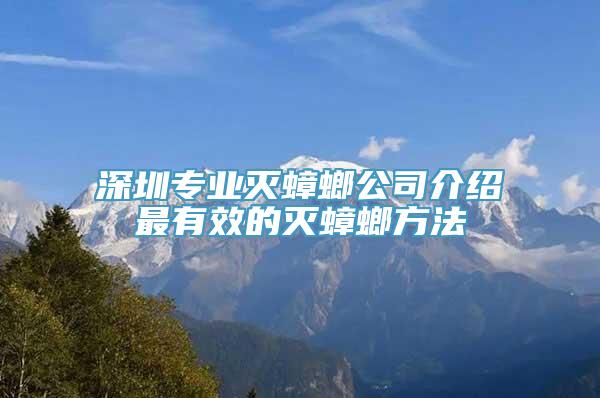 深圳专业灭蟑螂公司介绍最有效的灭蟑螂方法