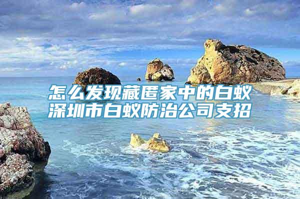 怎么发现藏匿家中的白蚁深圳市白蚁防治公司支招