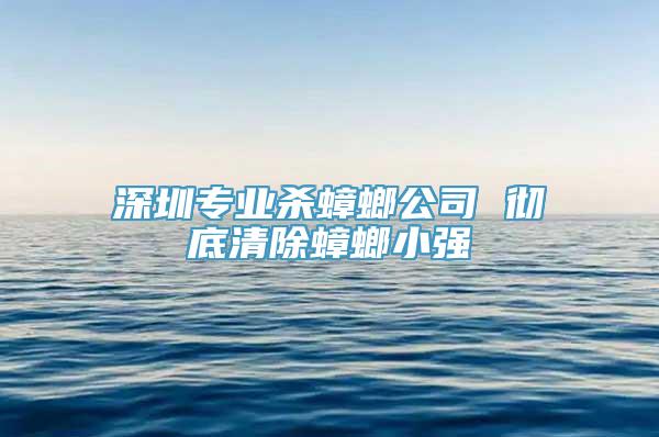 深圳专业杀蟑螂公司 彻底清除蟑螂小强