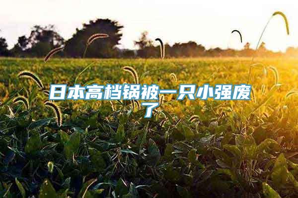 日本高档锅被一只小强废了