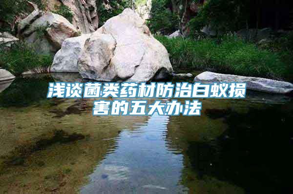 浅谈菌类药材防治白蚁损害的五大办法