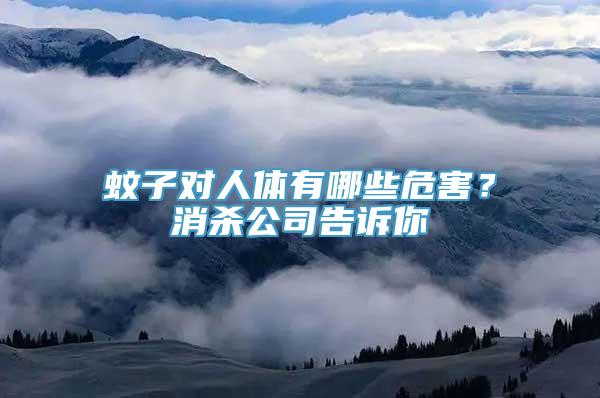 蚊子对人体有哪些危害？消杀公司告诉你