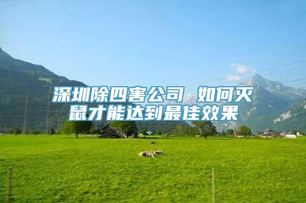 深圳除四害公司 如何灭鼠才能达到最佳效果