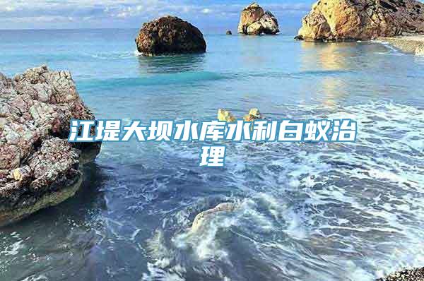 江堤大坝水库水利白蚁治理