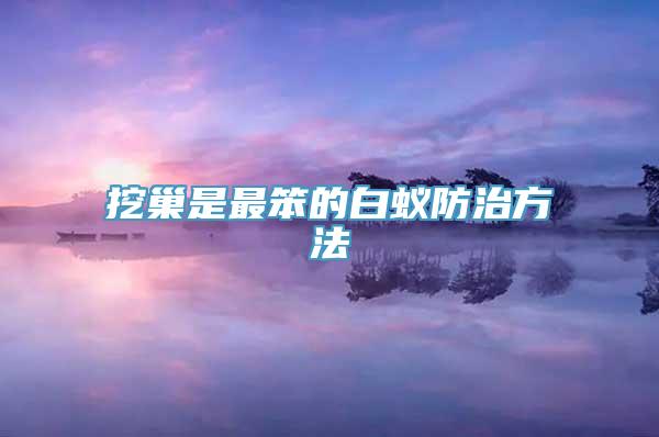 挖巢是最笨的白蚁防治方法