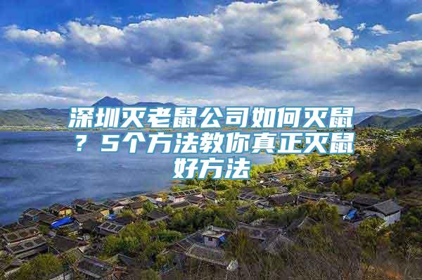 深圳灭老鼠公司如何灭鼠？5个方法教你真正灭鼠好方法