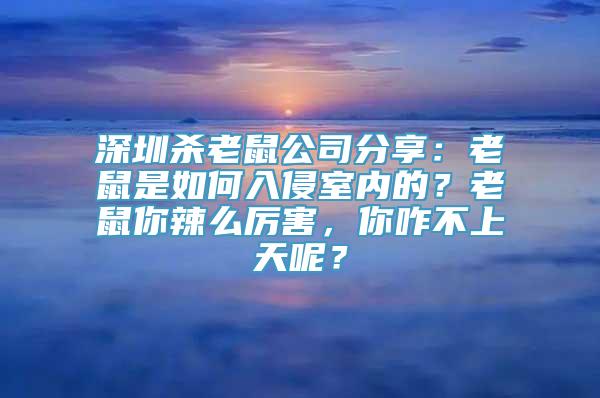 深圳杀老鼠公司分享：老鼠是如何入侵室内的？老鼠你辣么厉害，你咋不上天呢？