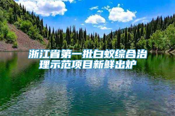 浙江省第一批白蚁综合治理示范项目新鲜出炉