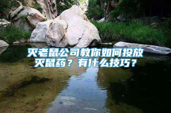 灭老鼠公司教你如何投放灭鼠药？有什么技巧？