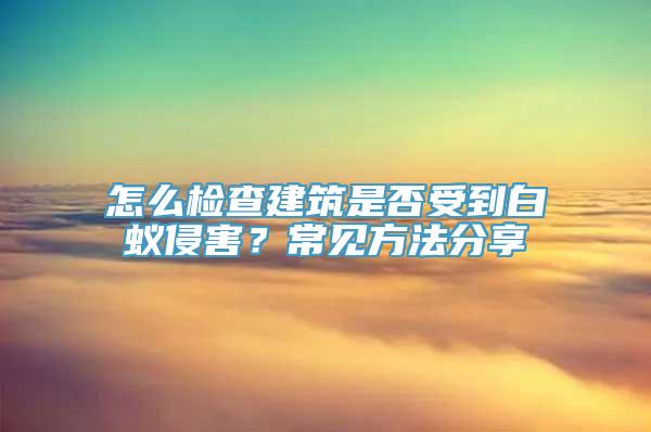 怎么检查建筑是否受到白蚁侵害？常见方法分享