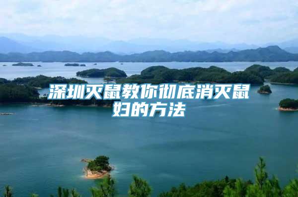 深圳灭鼠教你彻底消灭鼠妇的方法