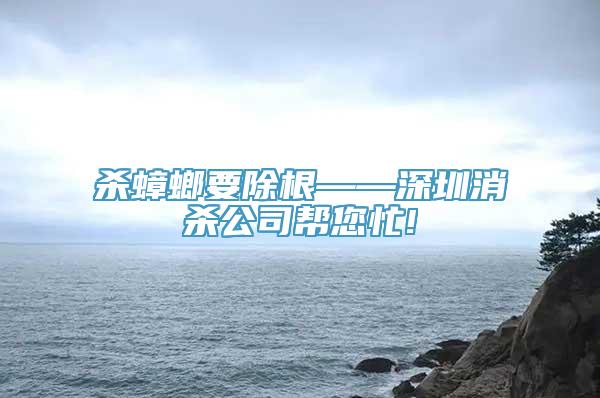 杀蟑螂要除根——深圳消杀公司帮您忙!