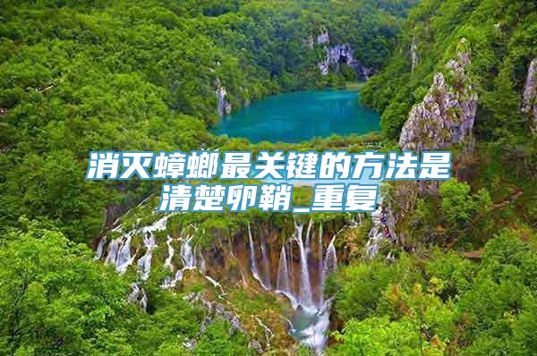 消灭蟑螂最关键的方法是清楚卵鞘_重复