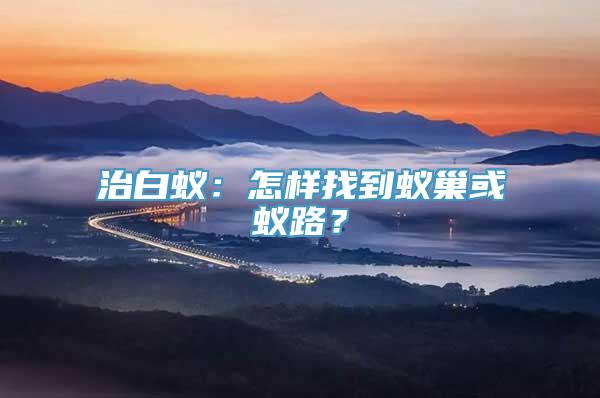 治白蚁：怎样找到蚁巢或蚁路？