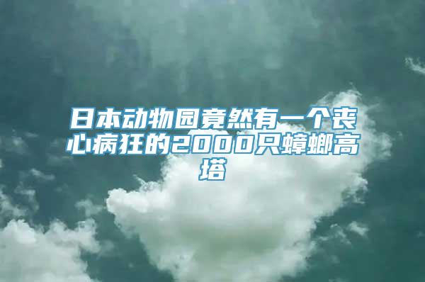 日本动物园竟然有一个丧心病狂的2000只蟑螂高塔