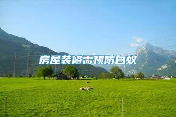 房屋装修需预防白蚁