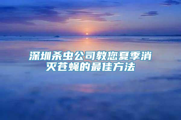 深圳杀虫公司教您夏季消灭苍蝇的最佳方法