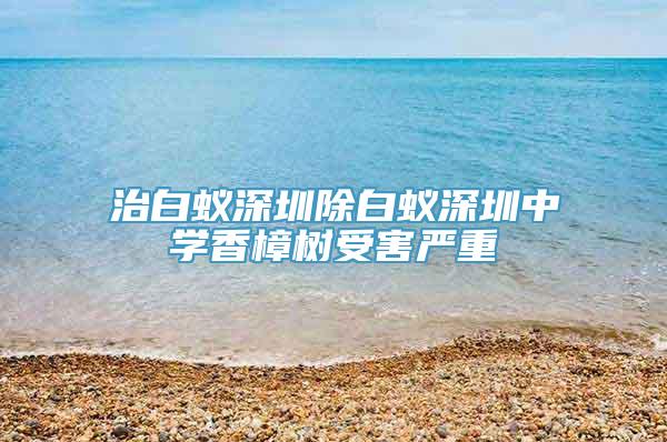 治白蚁深圳除白蚁深圳中学香樟树受害严重