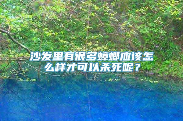 沙发里有很多蟑螂应该怎么样才可以杀死呢？