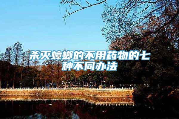 杀灭蟑螂的不用药物的七种不同办法