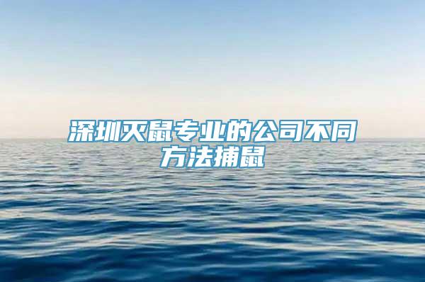 深圳灭鼠专业的公司不同方法捕鼠