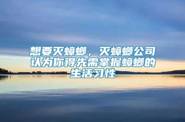 想要灭蟑螂，灭蟑螂公司认为你得先需掌握蟑螂的生活习性