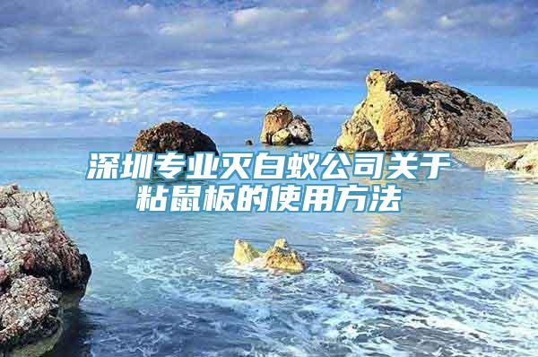 深圳专业灭白蚁公司关于粘鼠板的使用方法