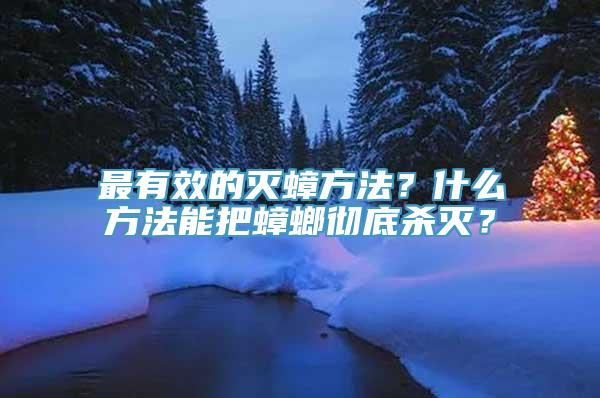 最有效的灭蟑方法？什么方法能把蟑螂彻底杀灭？