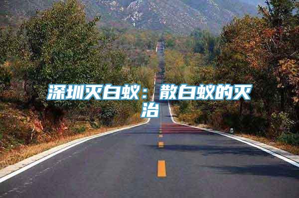 深圳灭白蚁：散白蚁的灭治