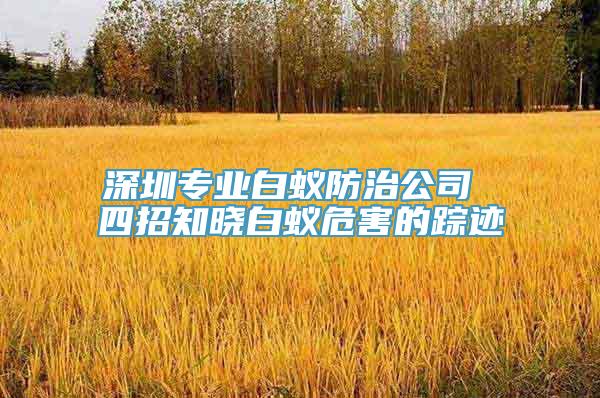 深圳专业白蚁防治公司 四招知晓白蚁危害的踪迹