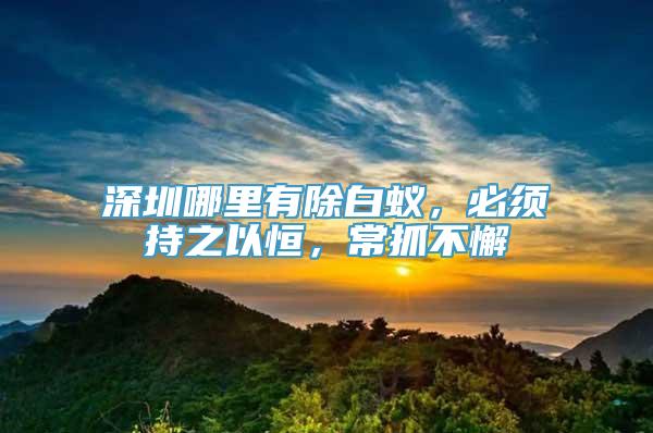 深圳哪里有除白蚁，必须持之以恒，常抓不懈