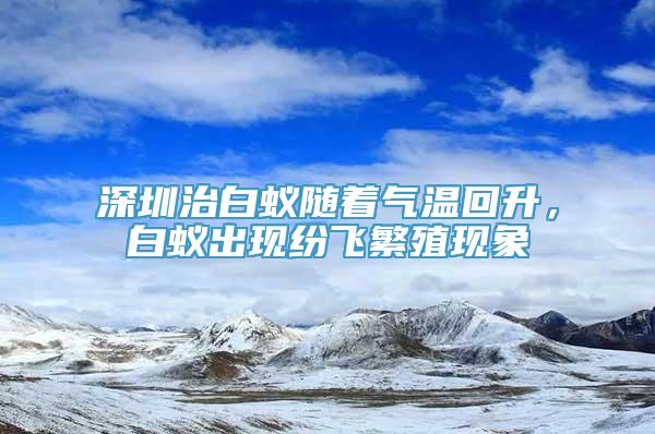 深圳治白蚁随着气温回升，白蚁出现纷飞繁殖现象