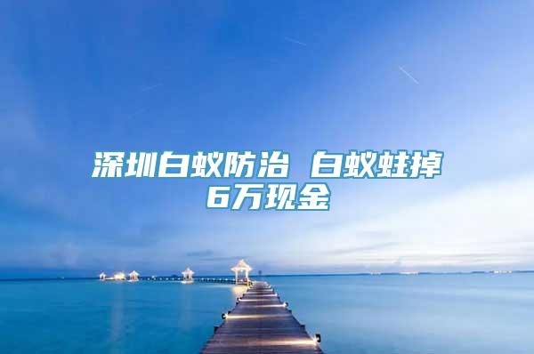 深圳白蚁防治 白蚁蛀掉6万现金