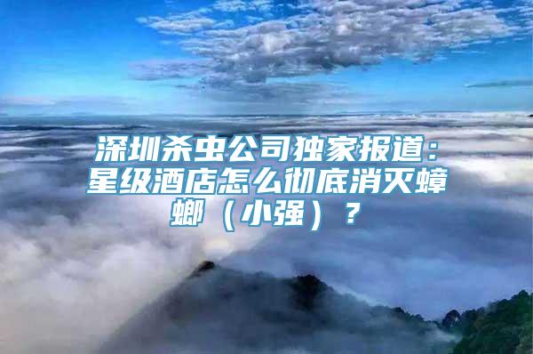 深圳杀虫公司独家报道：星级酒店怎么彻底消灭蟑螂（小强）？