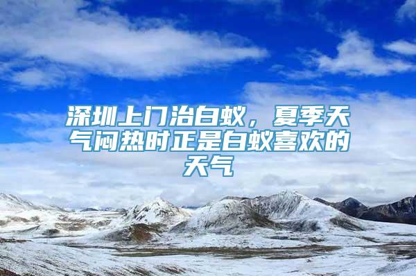 深圳上门治白蚁，夏季天气闷热时正是白蚁喜欢的天气