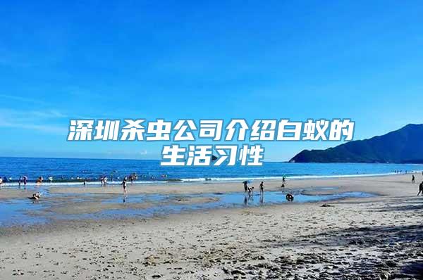 深圳杀虫公司介绍白蚁的生活习性