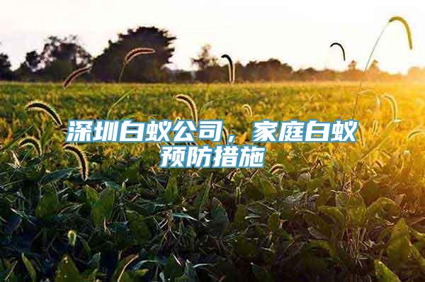 深圳白蚁公司，家庭白蚁预防措施