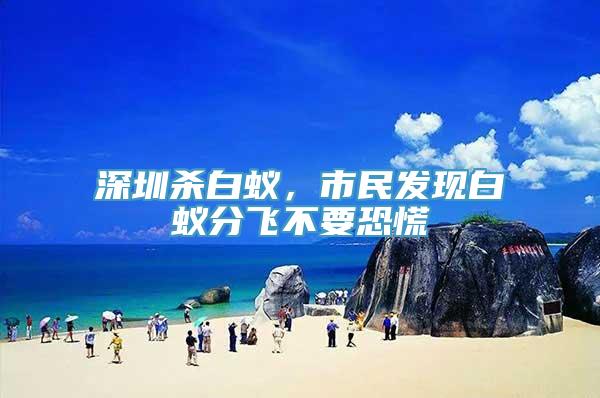 深圳杀白蚁，市民发现白蚁分飞不要恐慌