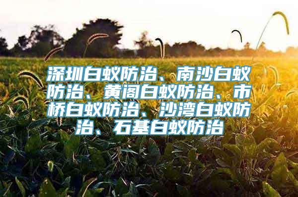 深圳白蚁防治、南沙白蚁防治、黄阁白蚁防治、市桥白蚁防治、沙湾白蚁防治、石基白蚁防治