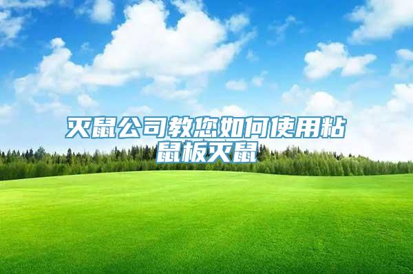 灭鼠公司教您如何使用粘鼠板灭鼠