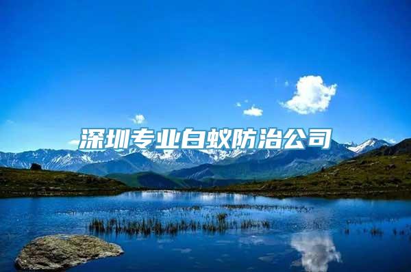 深圳专业白蚁防治公司