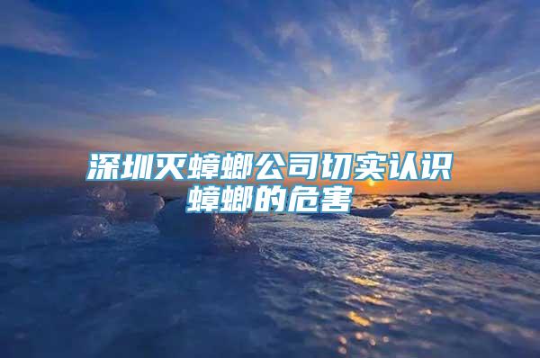 深圳灭蟑螂公司切实认识蟑螂的危害