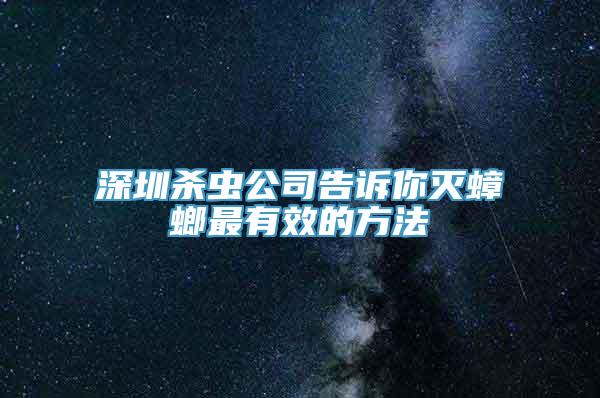 深圳杀虫公司告诉你灭蟑螂最有效的方法