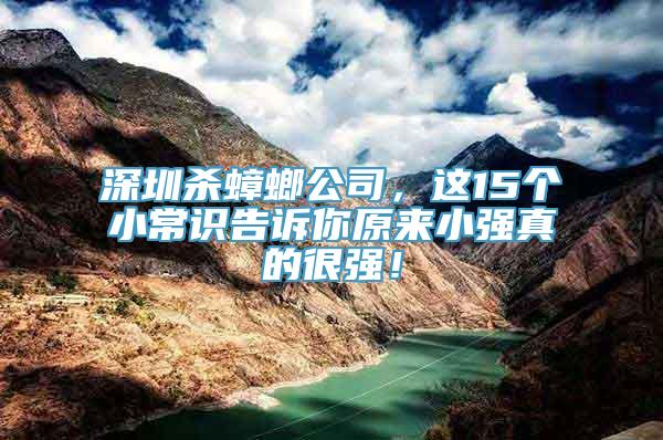 深圳杀蟑螂公司，这15个小常识告诉你原来小强真的很强！