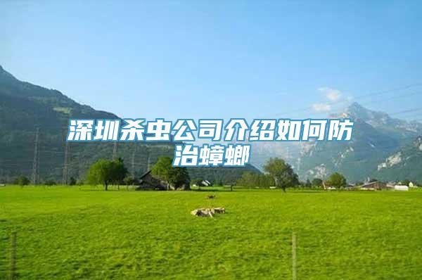 深圳杀虫公司介绍如何防治蟑螂