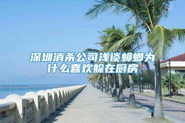 深圳消杀公司浅谈蟑螂为什么喜欢躲在厨房