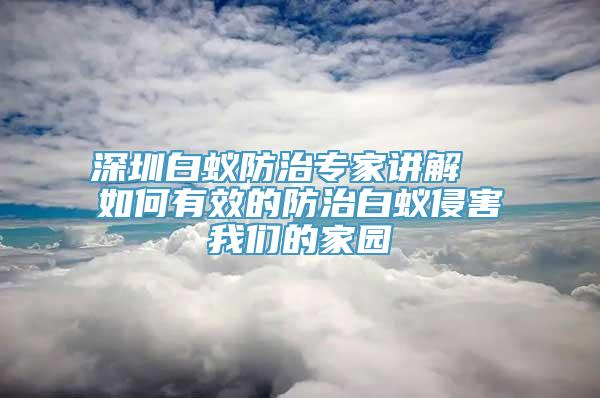 深圳白蚁防治专家讲解  如何有效的防治白蚁侵害我们的家园